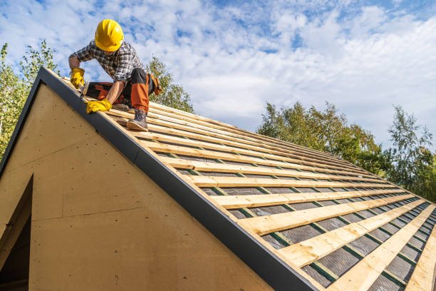 Best Metal Roofing Contractor  in Darrington, WA