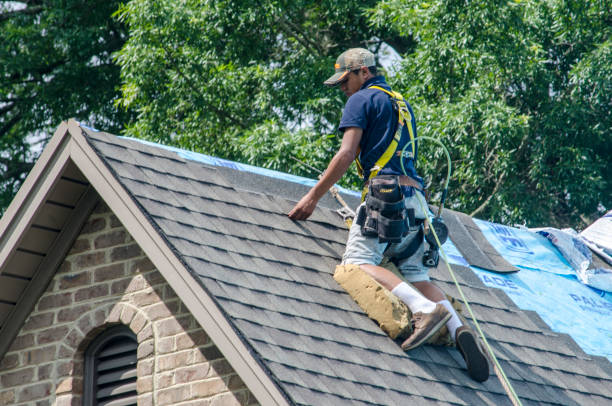 Best Roof Maintenance Services  in Darrington, WA